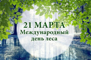 🌳Международный день леса🌲 🌳Международный день леса🌲.